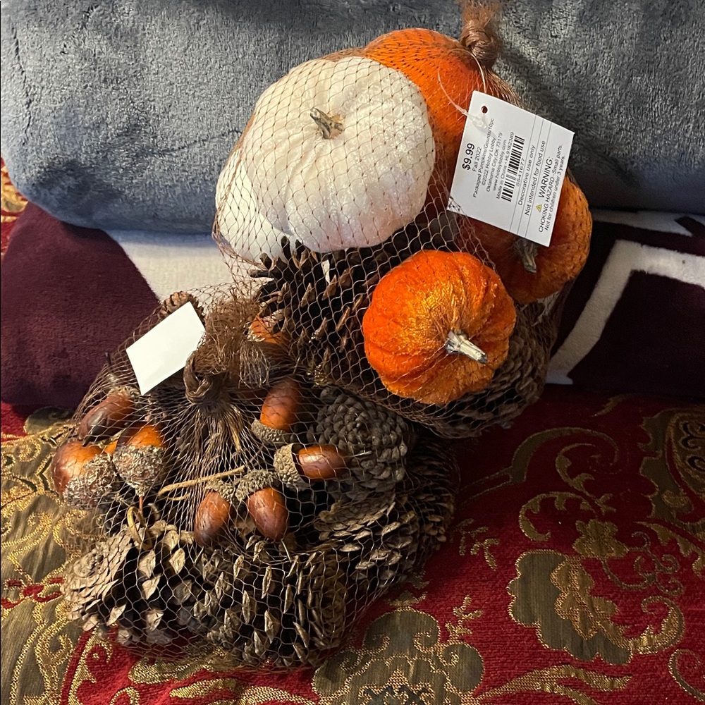Hobby Lobby Autumn Pumpkin and Pinecone Decor Set - Orange and White